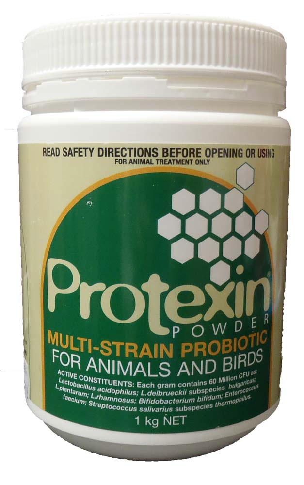 Protexin Powder Green 1kg