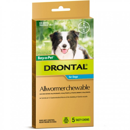 Drontal Allwormer Dogs 10kg x 5 Chews