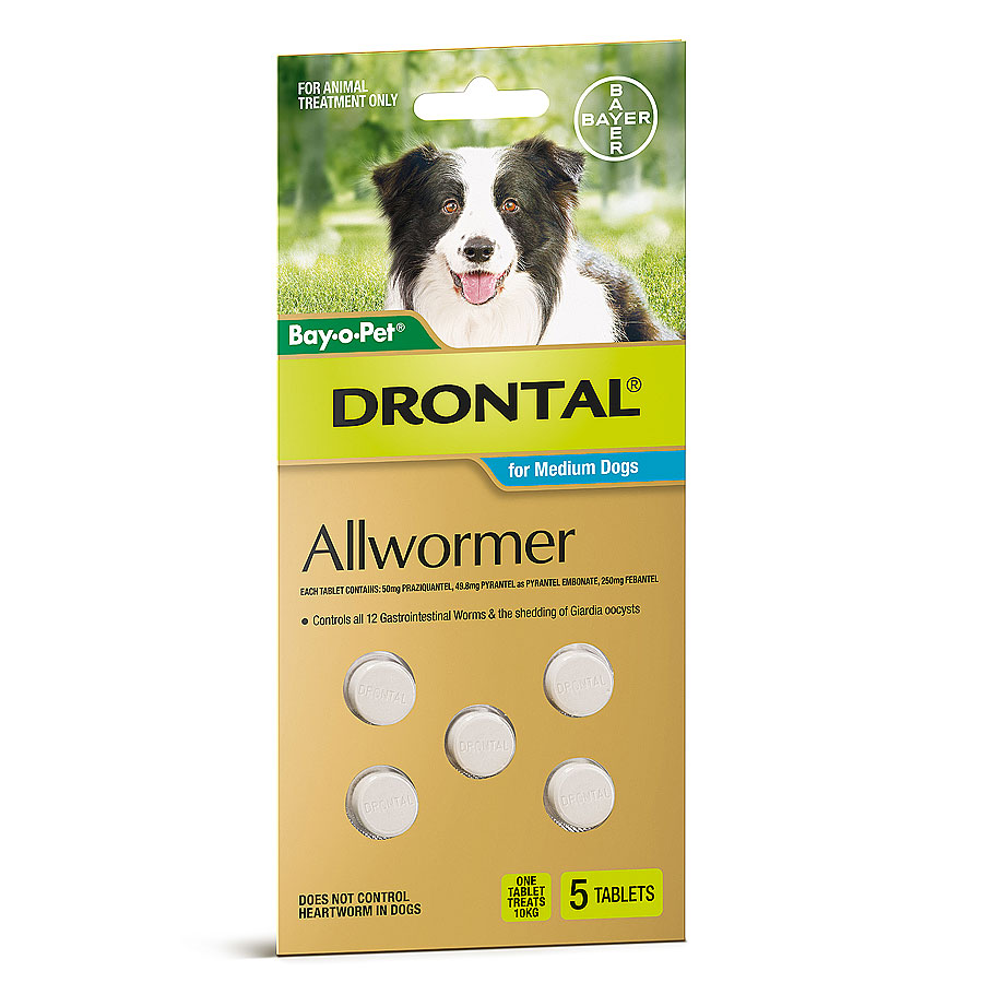Drontal Allwormer Dogs 10kg x 5 Tablets